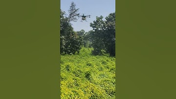 How Drones Are Revolutionizing Agriculture