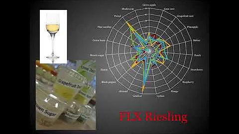 Anna Mansfield on Cornell Terroir: Liquid Expressi...