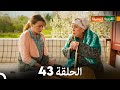 الجميلة القرية الحلقة 43 دبلجة عربية 