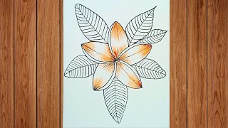 Easy Flower Drawing For Beginners Simple Floral Art With Pen And Pencil