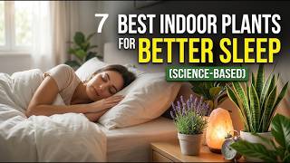 7 bedroom plants that help you sleep better and keep indoor air fresh Profile