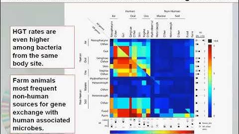 What is the Human Microbiome?