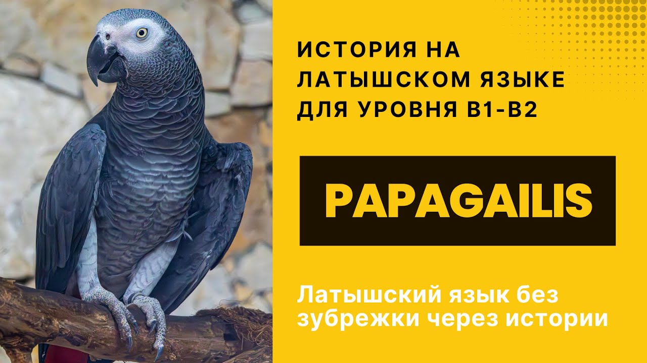 Латышский язык B1-B2: смешная история про попугая (Papagailis)
