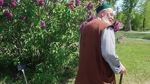 Emanete Sahip Çıkmanın Ehemmiyeti…Şeyh Mehmet Adil Hakkani Hazretleri 20.7.2023