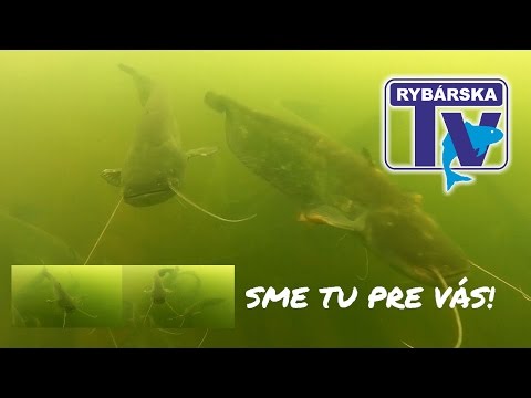 Rybárska Televízia 5/2017