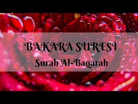 Bakara Suresi - Reklamsız - Al-Baqarah - 2. Sure