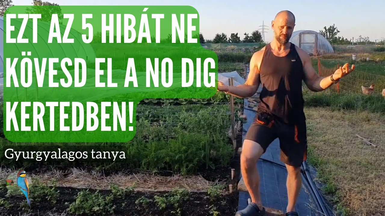 5 hiba, amit ne kövess el a NO DIG kertedben! (Én elkövettem őket...)