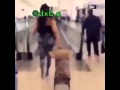 انه شايل حمل مشايله الكون نجومي