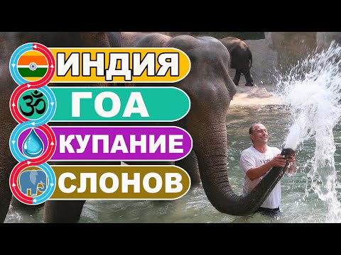 Индия Гоа / Душ и купание слонов с туристами / JUNGLE BOOK PARK