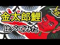 第６弾　比較動画　【金太郎鯉】メーカー別金太郎のデザインと大きさ