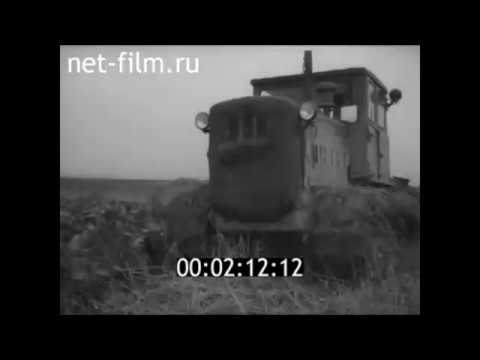 1962г. колхоз Россия Боровичский район Новгородская обл
