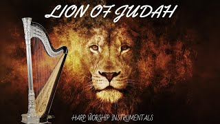 LION OF JUDAH / PROPHETIC HARP WARFARE INSTRUMENTAL / DAVID HARP/432Hz BODY HEALING INSTRUMENTAL