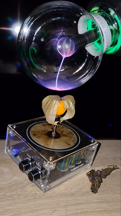 Electricity vs Physalis 😳 What is next? #experiment #teslacoil #physics #cherry