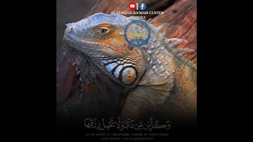 وكأين من دابة لاتحمل رزقها الله يرزقها واياكم (سورة العنكبوت اية ٦٠ )