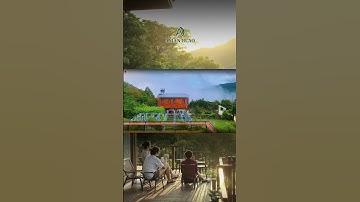 Aman Blao – Khoảnh khắc mây trôi bình yên giữa rừng thông | Second Home Bảo Lộc