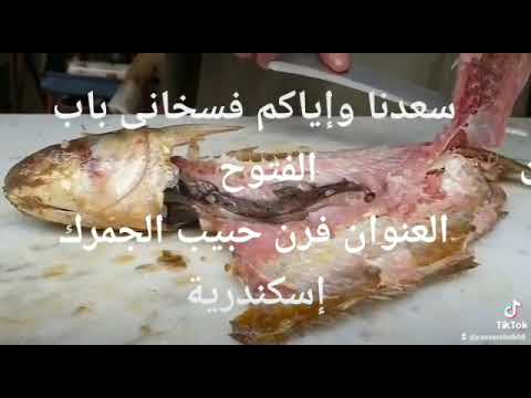 1280666397 01008550173 01029098834 العنوان شارع صفر باشا و راس التين الجمرك اسكندريه