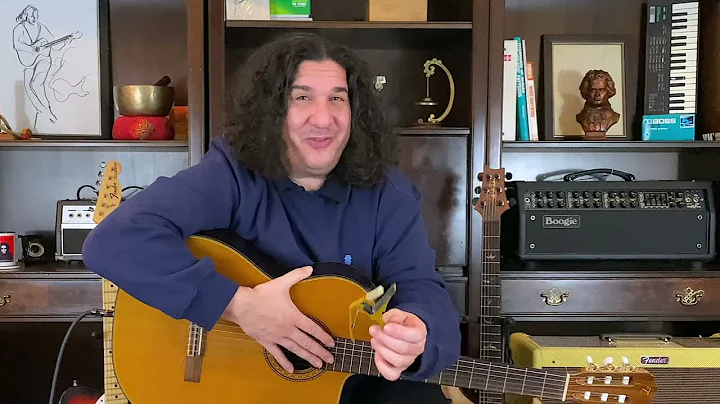 Lesson 28 - LEARN - Capo - Learn How to Play Guitar