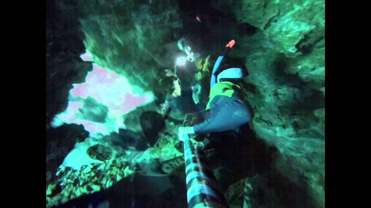 Free diving Alexander Springs. YouTube