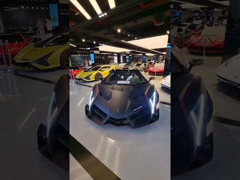 Veneno looks out