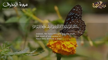 تلاوة خائعة وماتعة -سورة الزخرف بصوت الفارئ الشيخ يونس الغربي