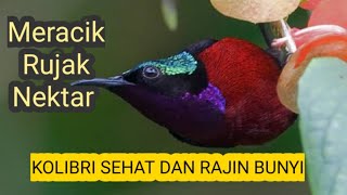 Homemade Rujak Nectar Recipe for Hummingbirds | Ninja Hummingbird | Bird Enthusiasts