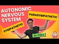 Autonomic nervous system sympathetic  parasympathetic  overview