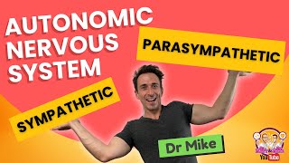 Autonomic Nervous System (Sympathetic & Parasympathetic)  Overview