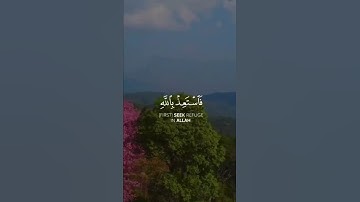 تلاوة هادئة ⁦أرح قلبك ⁦♥️