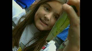 Bill Nye the Science Guy removed segments - Check it Out: Wetlands Food Web