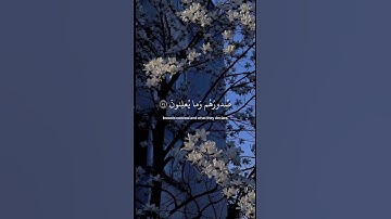 سورة النمل .#اسلام_صبحي #اسلام #القرآن_الكريم #اكسبلور #foryou #quran #حالات_واتس #تيك_توك #fyp