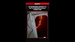 IAF Helicopters Launch Intense Firefighting Operation In Kasauli Forest Blaze