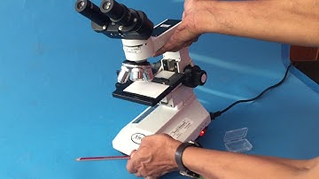 video biology metallurigical microscope binocular built in light filters abron01@gmail com
