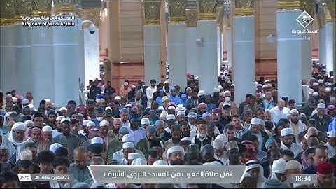 تلاوة من سورة النساء 48-57 للشيخ أ.د. محمد برهجي | مغرب الأربعاء 27-8-1446هـ