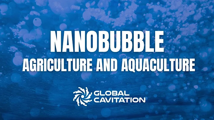 NANOBUBBLE AGRICULTURE AND AQUACULTURE