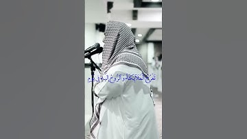 قران كريم بصوت جميل جدا جدا راحه نفسيه #quranhearts