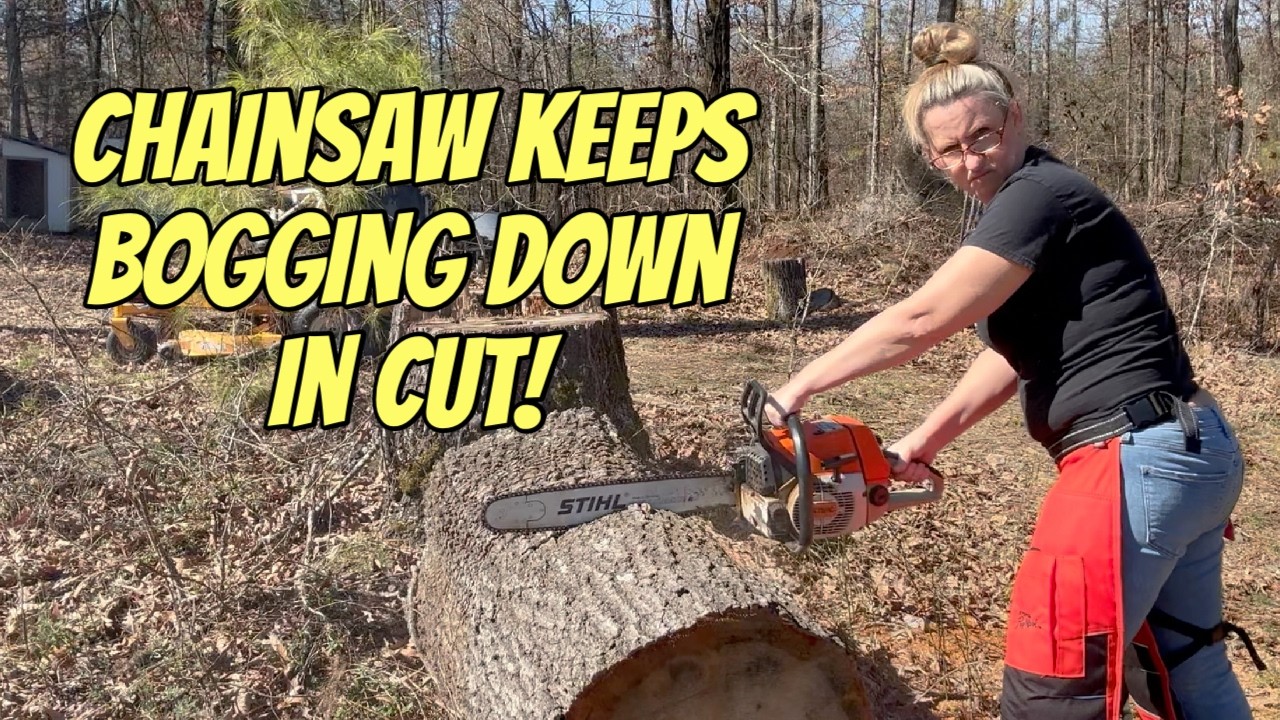 From Bogging Out To BEAST Mode! Diagnosing Your Chainsaw That Can't Make The Cut! STIHL 034AV Repair