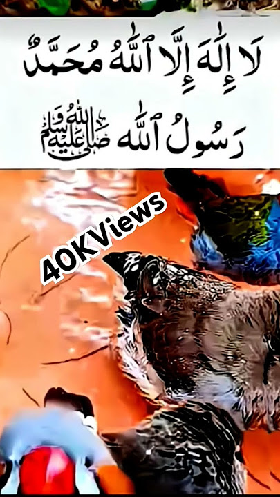La Allaha Illallah Muhammad Rasulullah #unfrezzmyaccount #auladenarinakawazifa