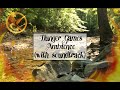 Hunger games peaceful ambience  1 hour streamforest with soundtrack