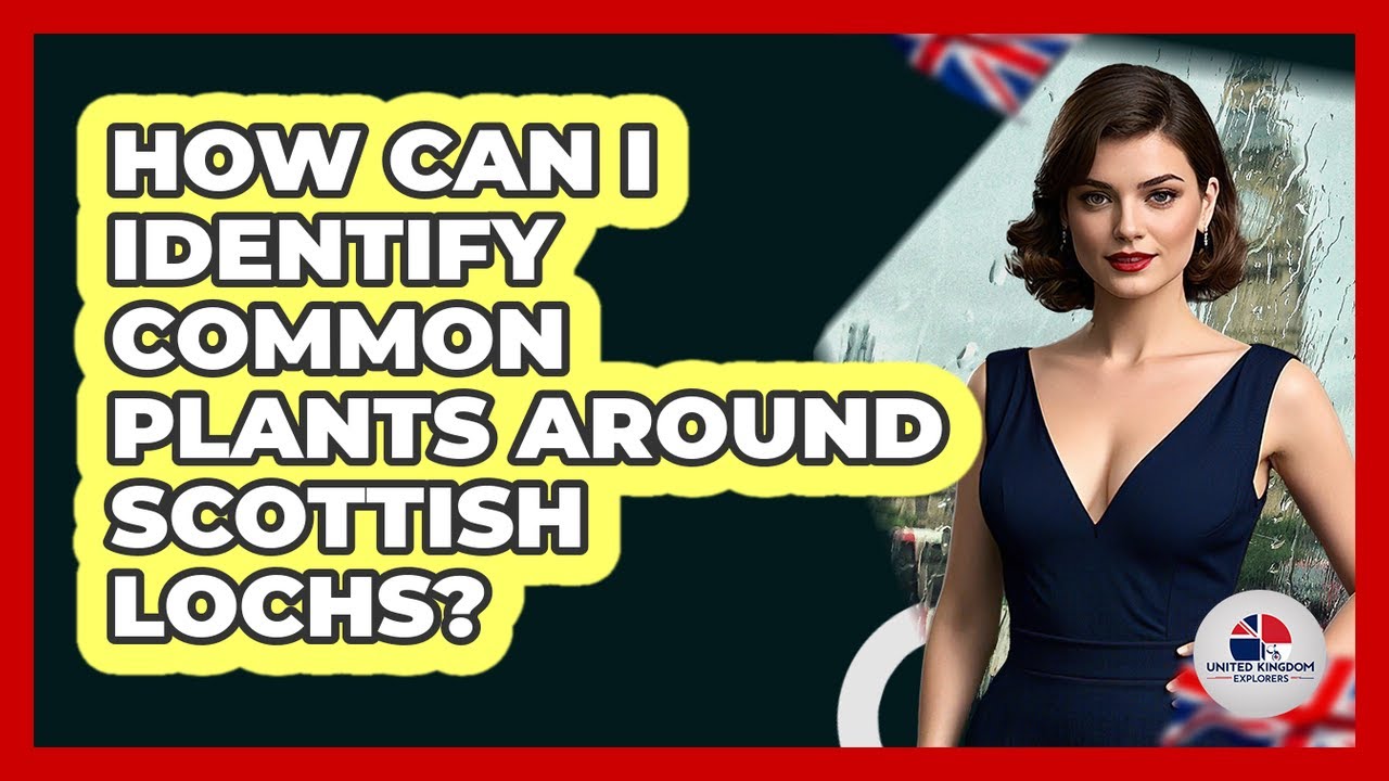 How Can I Identify Common Plants Around Scottish Lochs? - United Kingdom Explorers