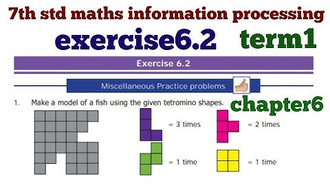 7th std maths information processing exercise6.2 chapter6 term1 Tamil
