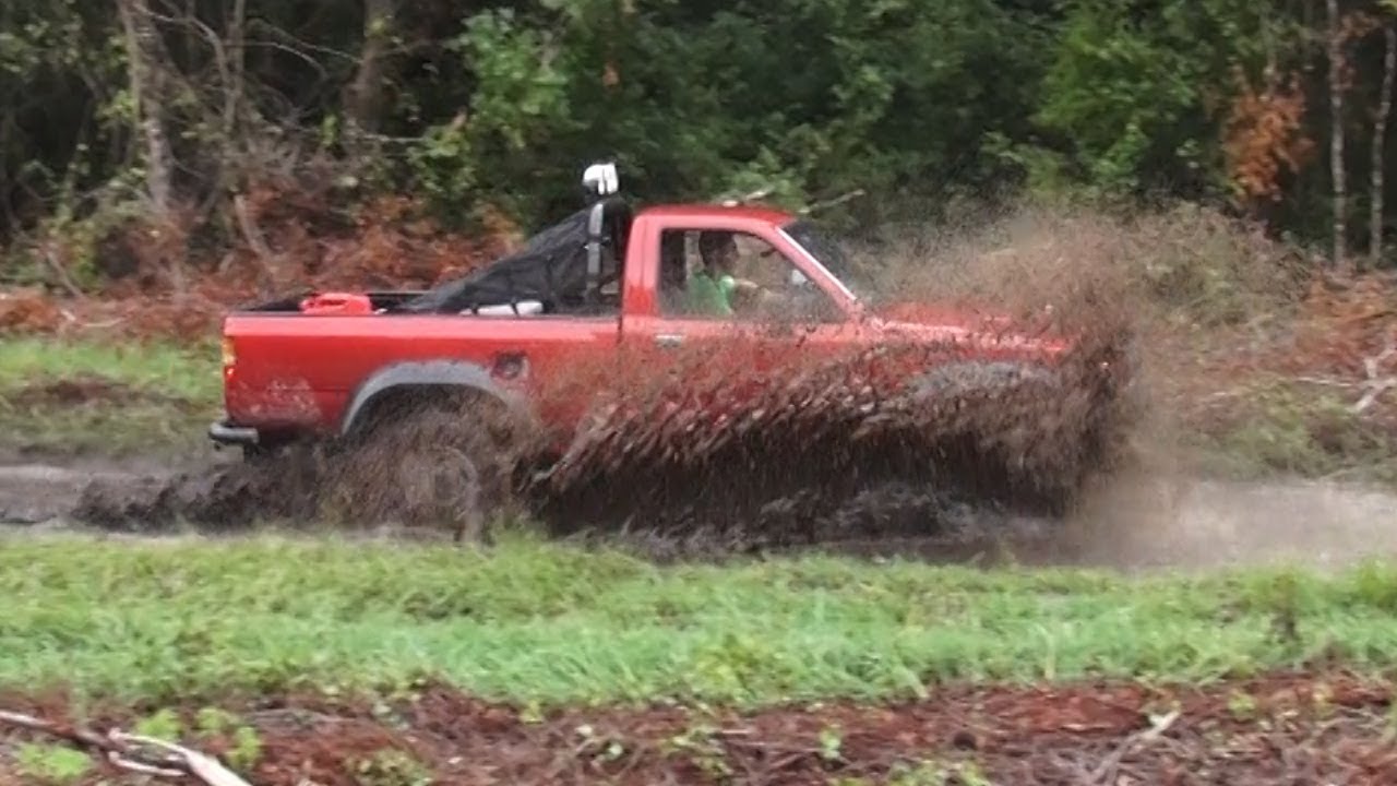 Ocala off road adventure. Ocala National Forest OHV trails YouTube