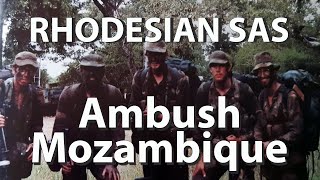 Rhodesian SAS: Lying In Ambush For Ten Days Waiting For A Road Convoy.