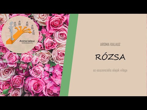 Videó: Krími Rózsa - A Rózsa Hasznos Tulajdonságai és Alkalmazása. Rózsaolaj, Rózsa Illóolaj