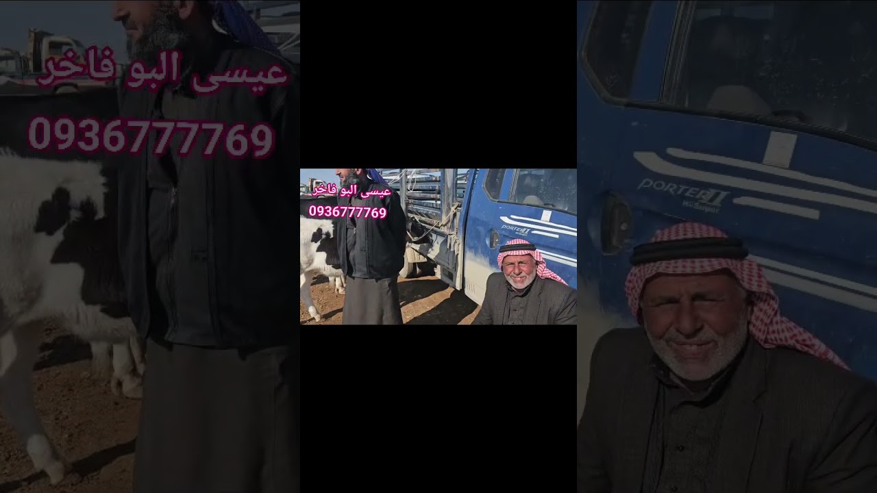 سوق الابقار في منبج والرقه بيزار العدنانيه يوم الخميس ٣/٥