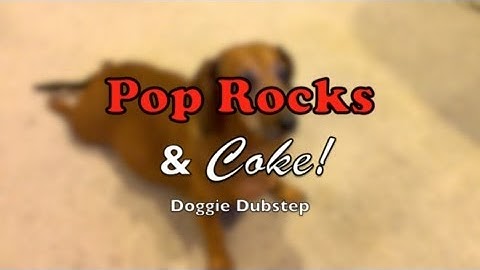 Pop Rocks & Coke! [Doggie Dubstep] *MYTH*