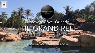 Discovery Cove: The Grand Reef, Orlando | Swimmingpools by Allthegoodies.com