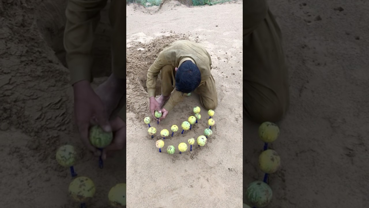 lollipop 🍭 in the sand desert. 