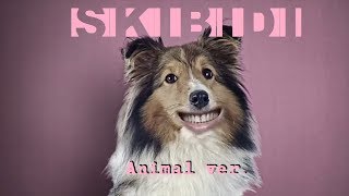 Skibidi (Little Big animal song ver. 2019)