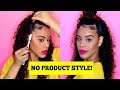 Easy NO PRODUCT Wash & Go Style!