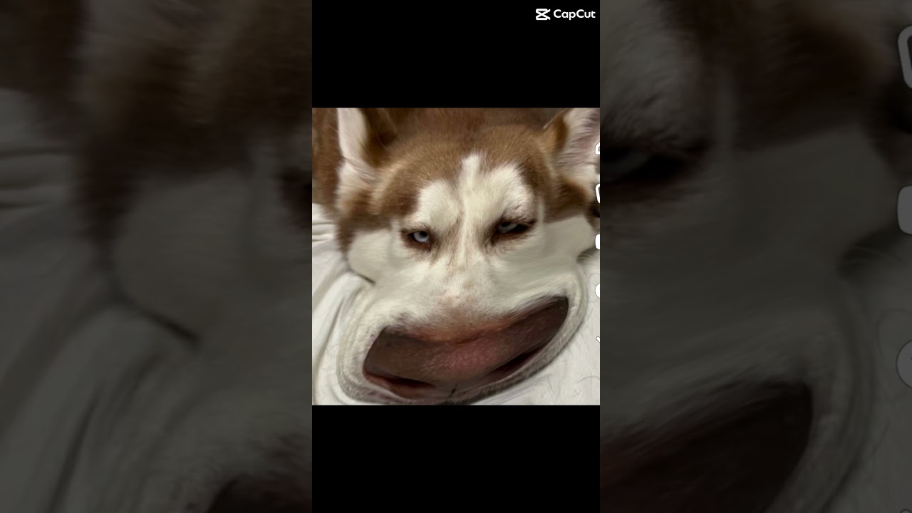 Hahaha she’s so cute 